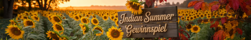 Gewinnspiel Banner
